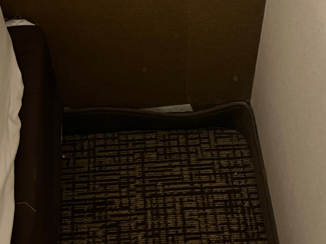 Comfort Inn Albany / Glenmont主图
