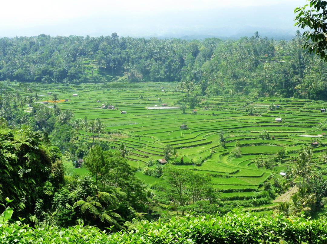 Mahagiri Panoramic Resort & Restaurant主图