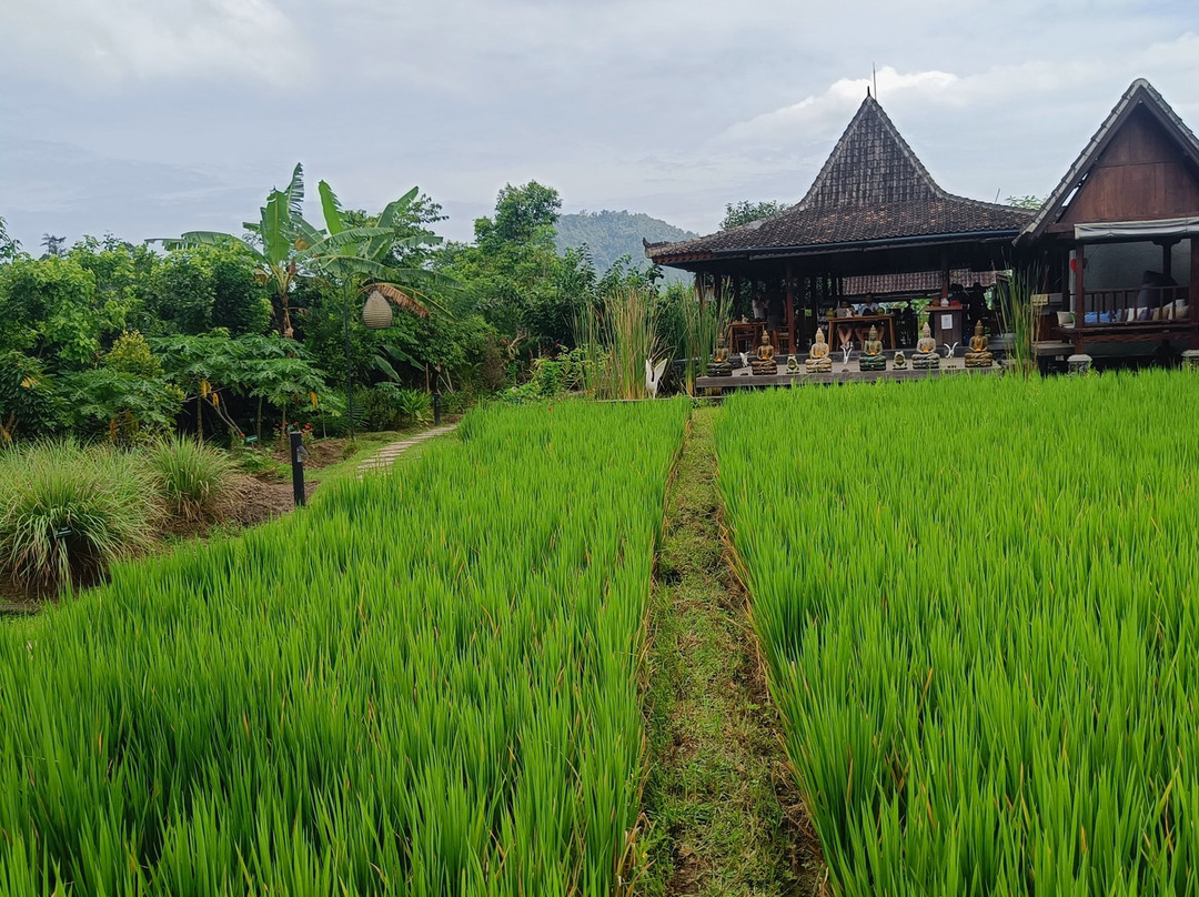 Anandinii Organic Garden & Kitchen-席德门必去景点