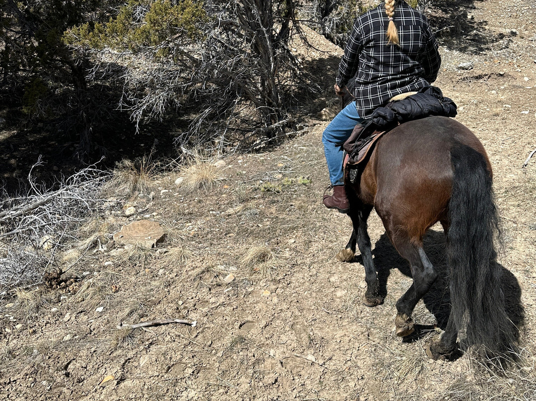 Wind in your Hair Riding-Wanship必去景点