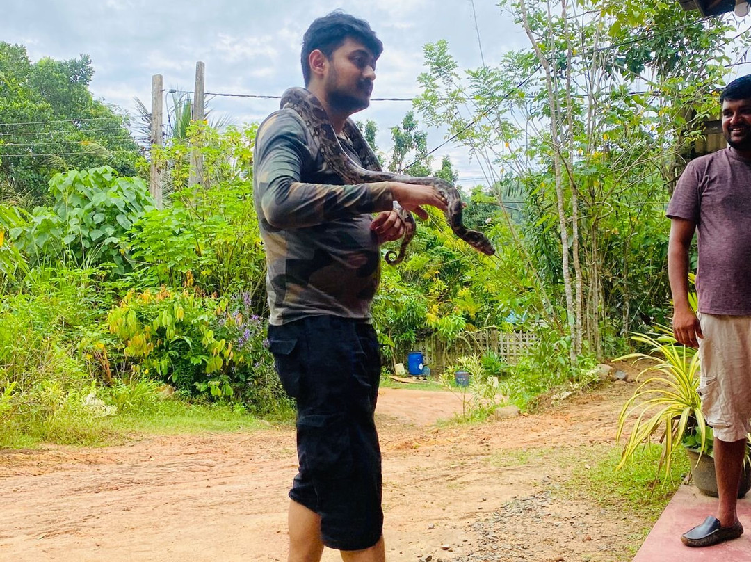 Ceylon Transit-Hokandara必去景点