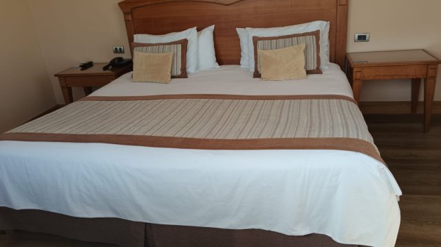 太平洋大酒店-客卧