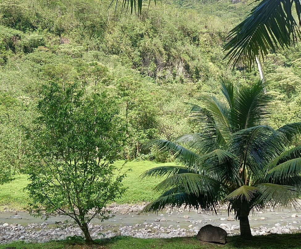 Tetapua Quad Tahiti ATV景点图片