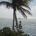 OcalaTraveler2011
