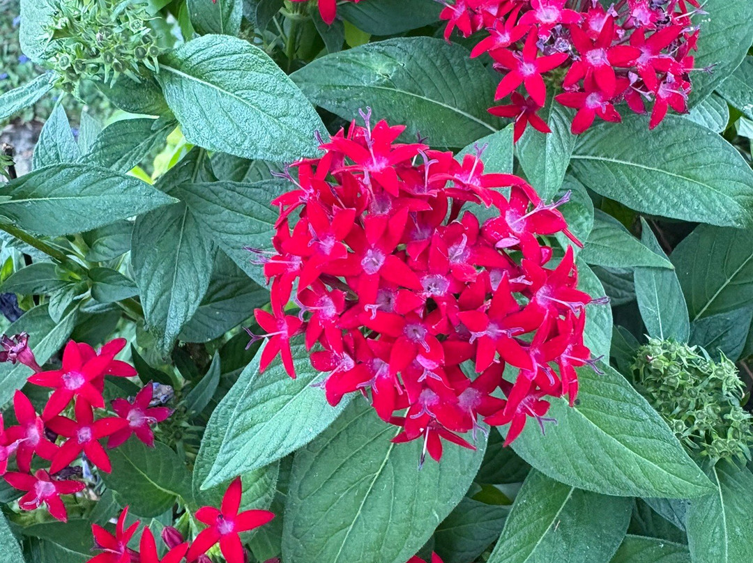 Quinta Las Flores主图