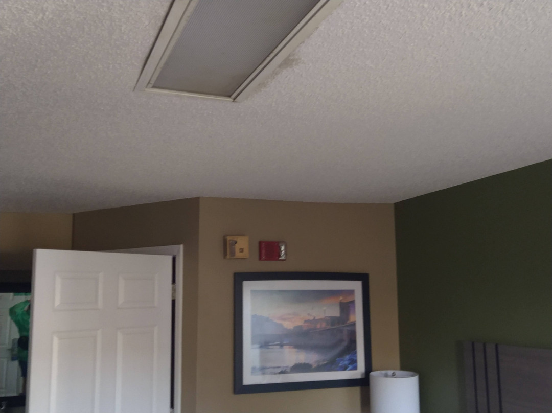 Baymont by Wyndham Prattville主图