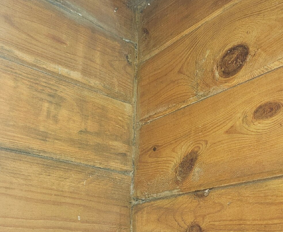 Grand Vatika Resort主图