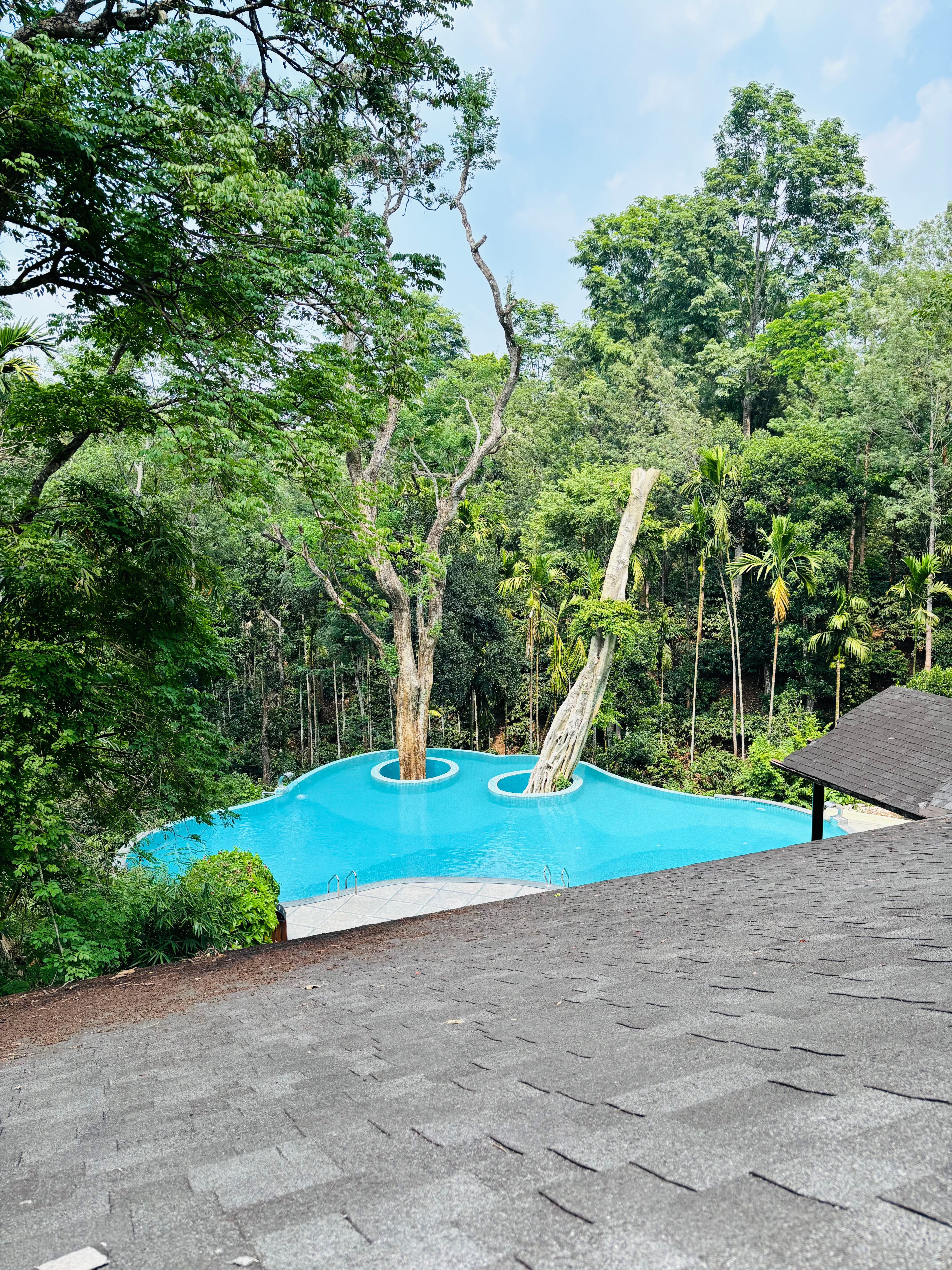 The Windflower Resorts & Spa-官方