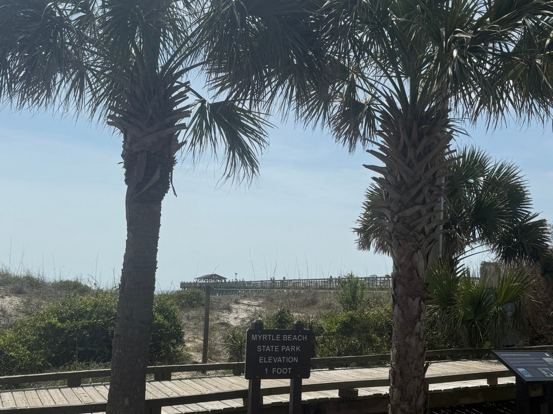 Myrtle Beach State Park景点图片