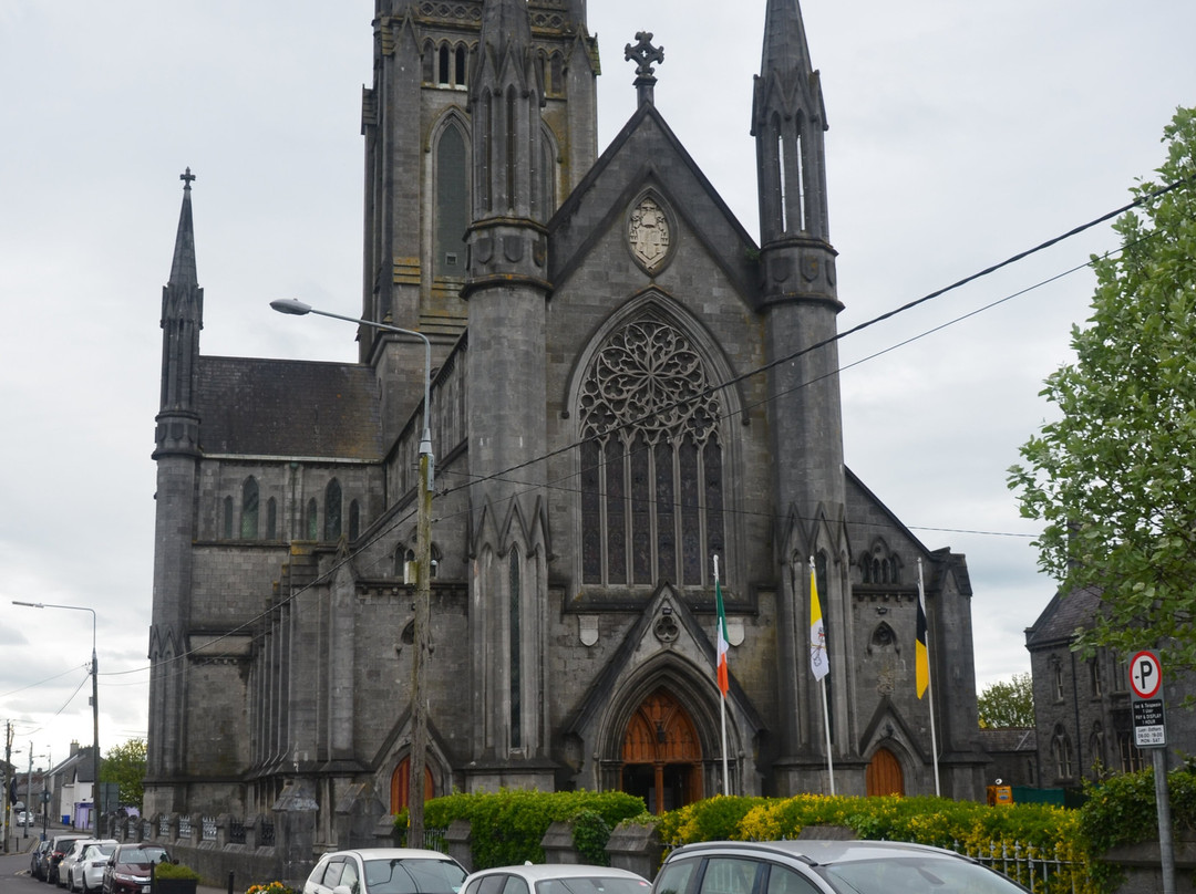 St. Mary's Catholic Cathedral-基尔肯尼必去景点