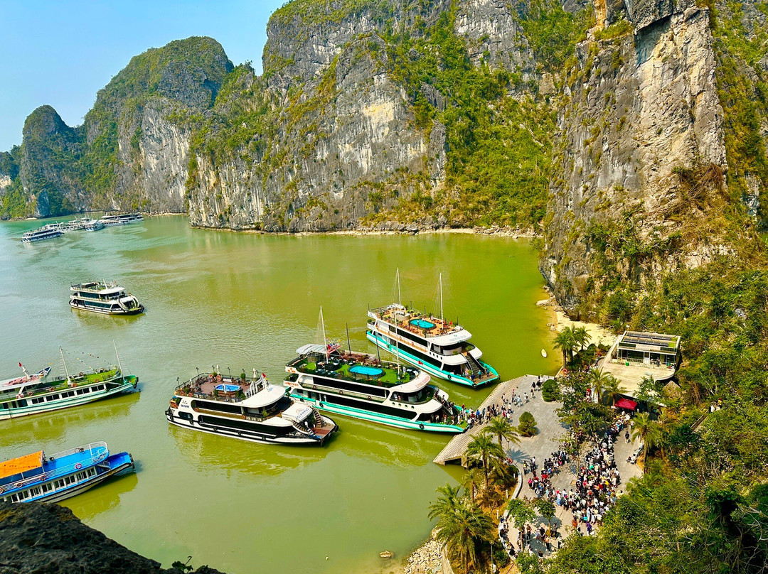 Tam Coc Tours景点图片