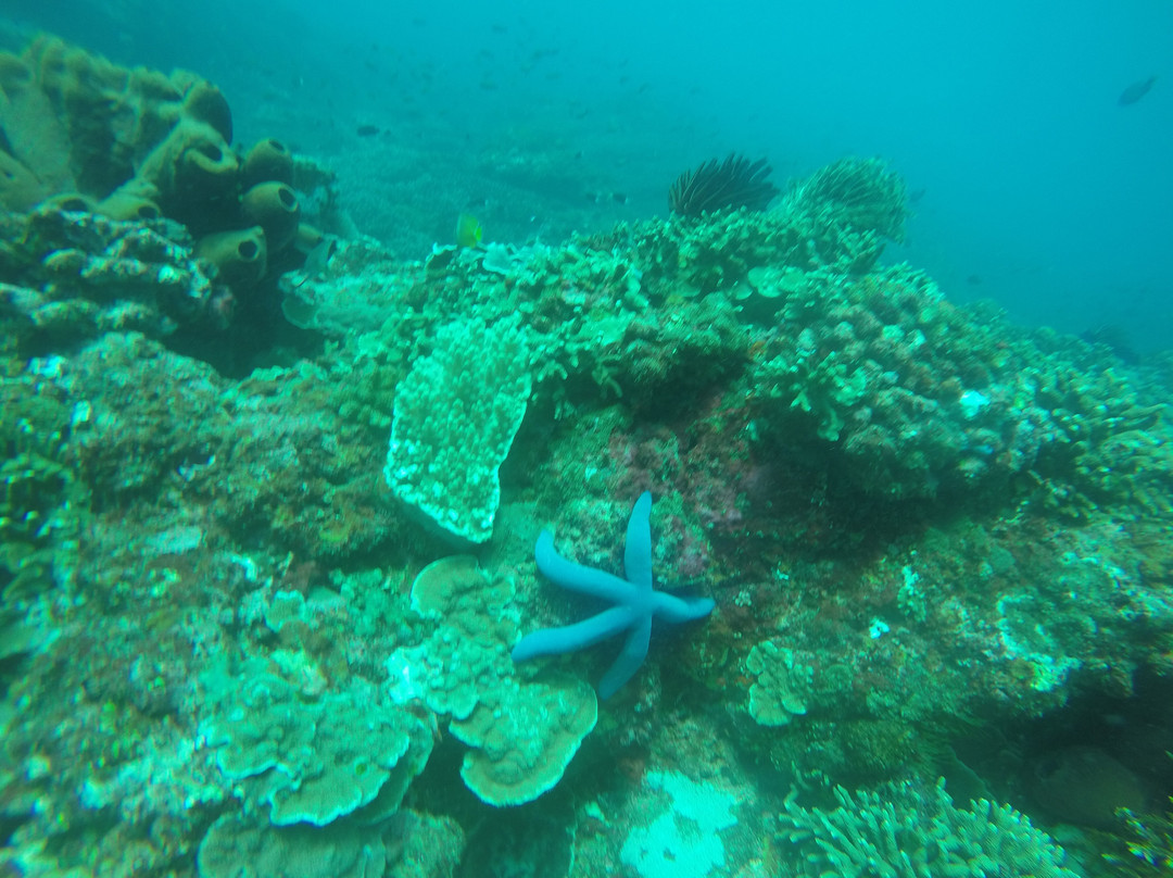 Bali Fun Diving景点图片