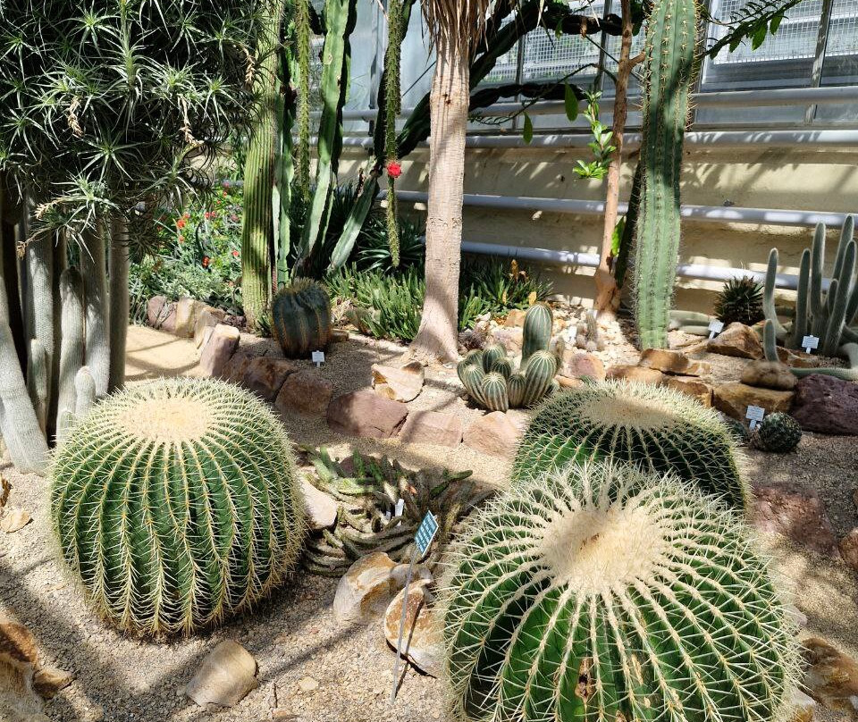 Botanischer Garten der Technischen Universitat Braunschweig-布伦瑞克必去景点