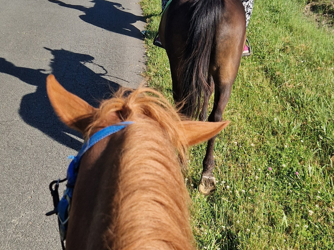 Centre equestre le marais en selle-Yves必去景点