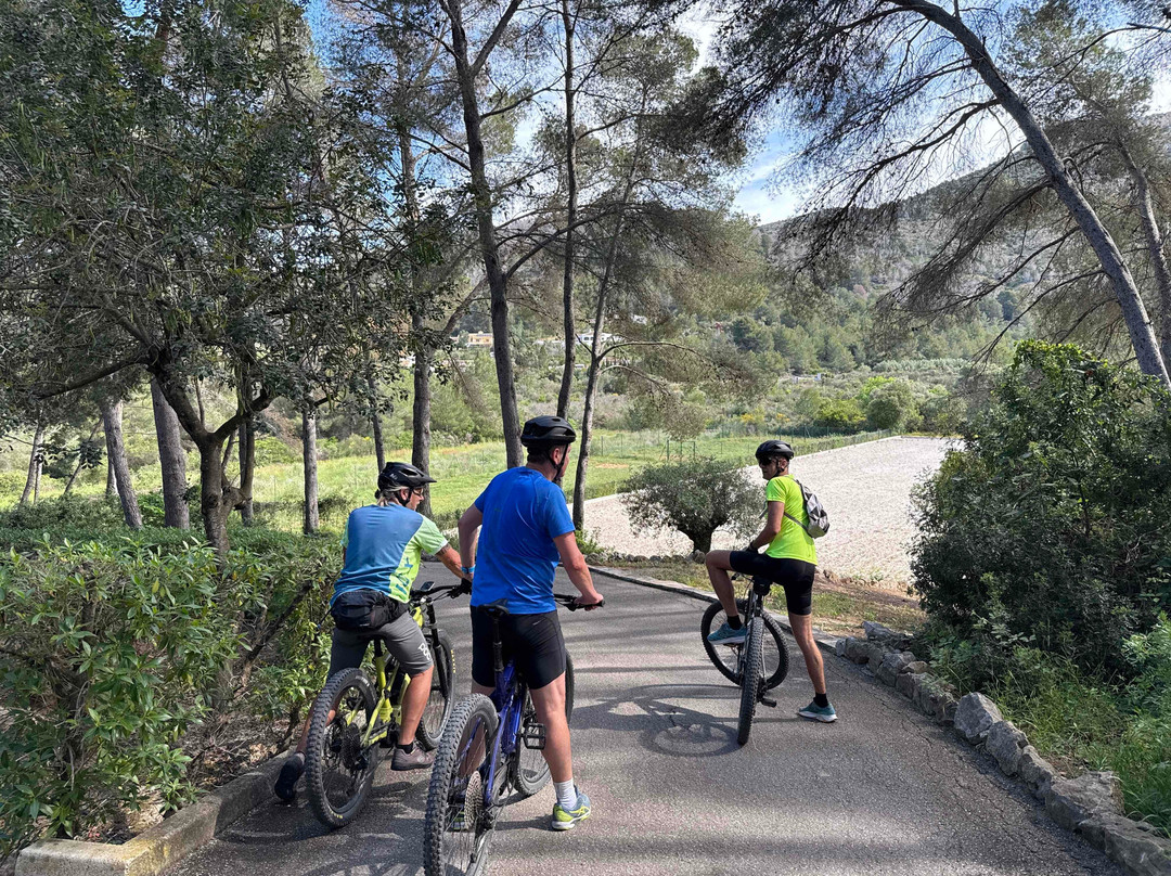 MTB-Touren Costa Blanca景点图片