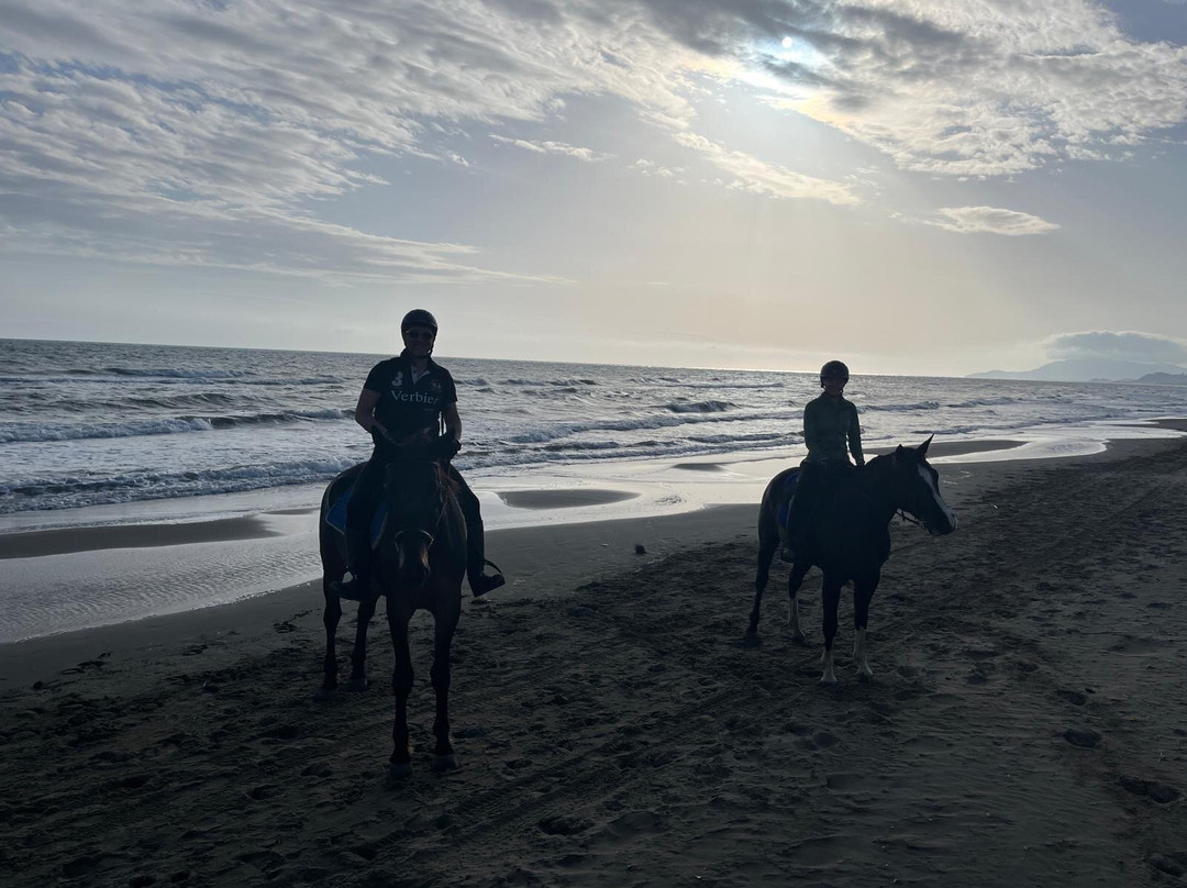 Cavallo Natura景点图片