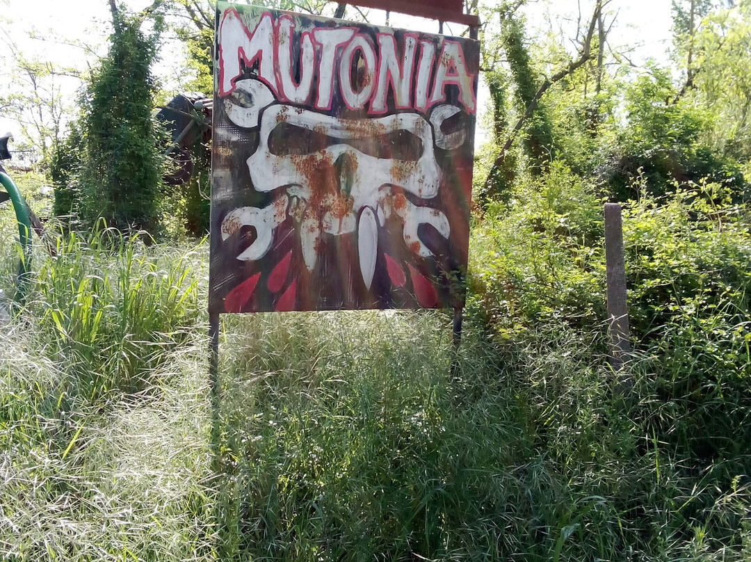 Mutonia-圣阿尔坎杰洛-迪罗马涅必去景点