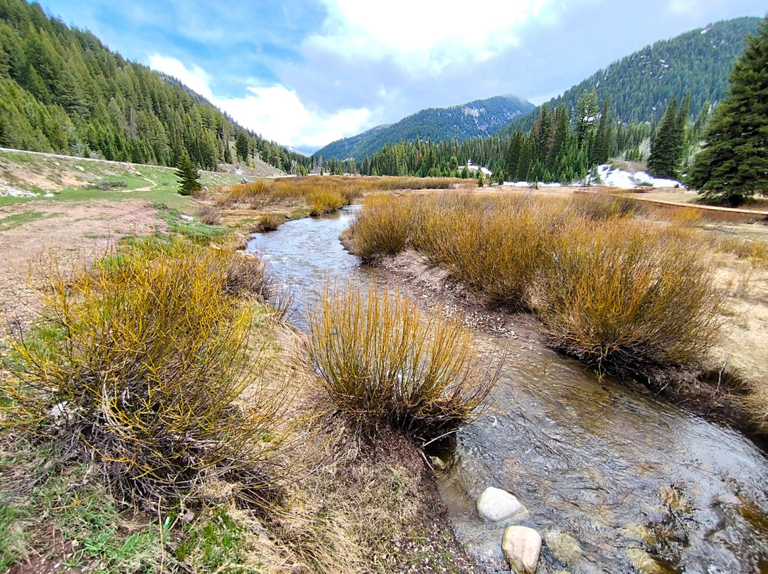 Solitude Mountain Resort-Solitude必去景点