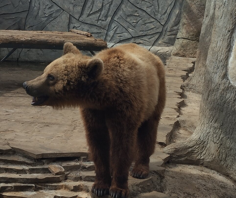 Eco Park Biosphere-卡卢加必去景点