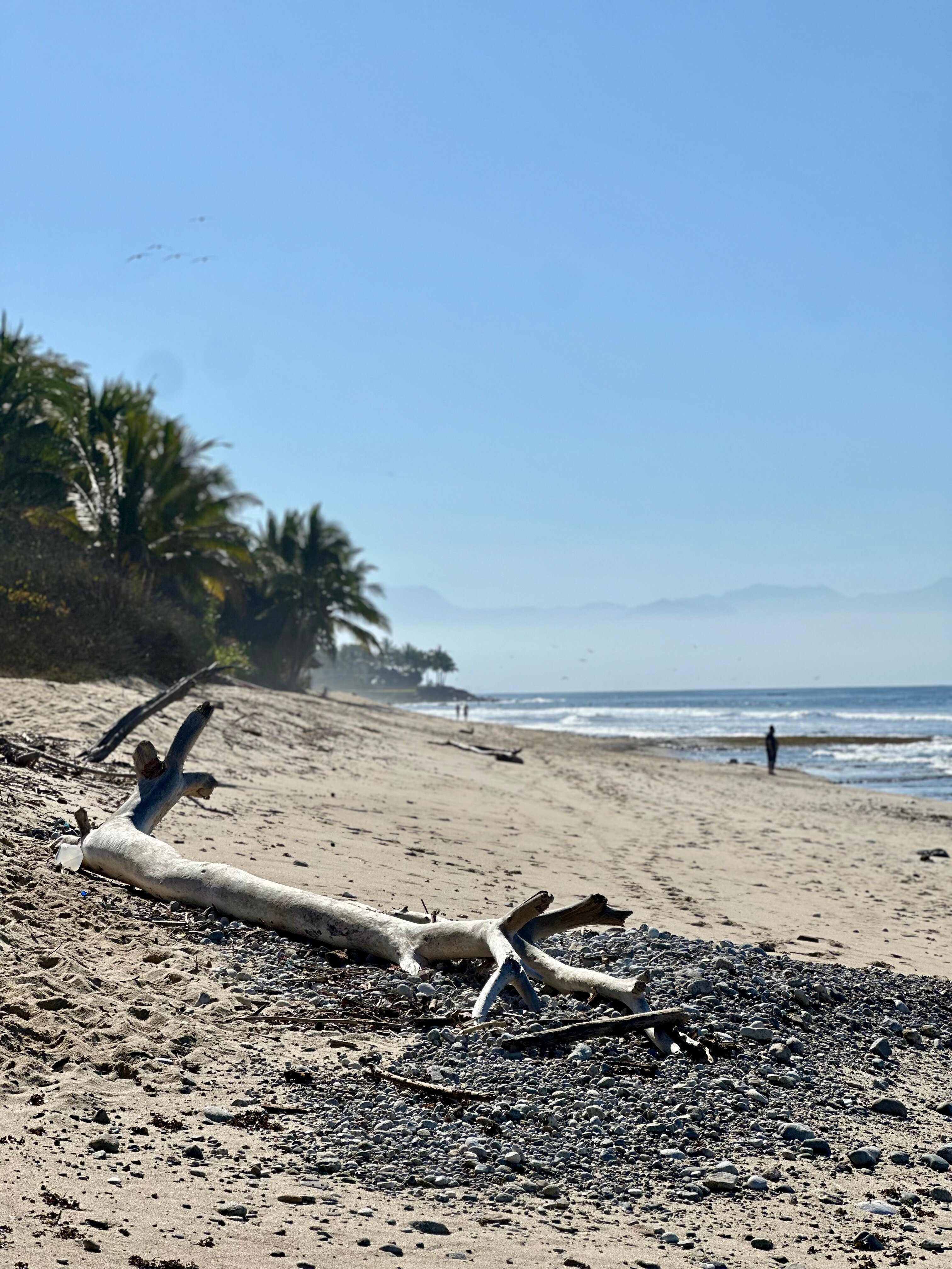 Dreams Bahia Mita Surf & Spa Resort-泳池