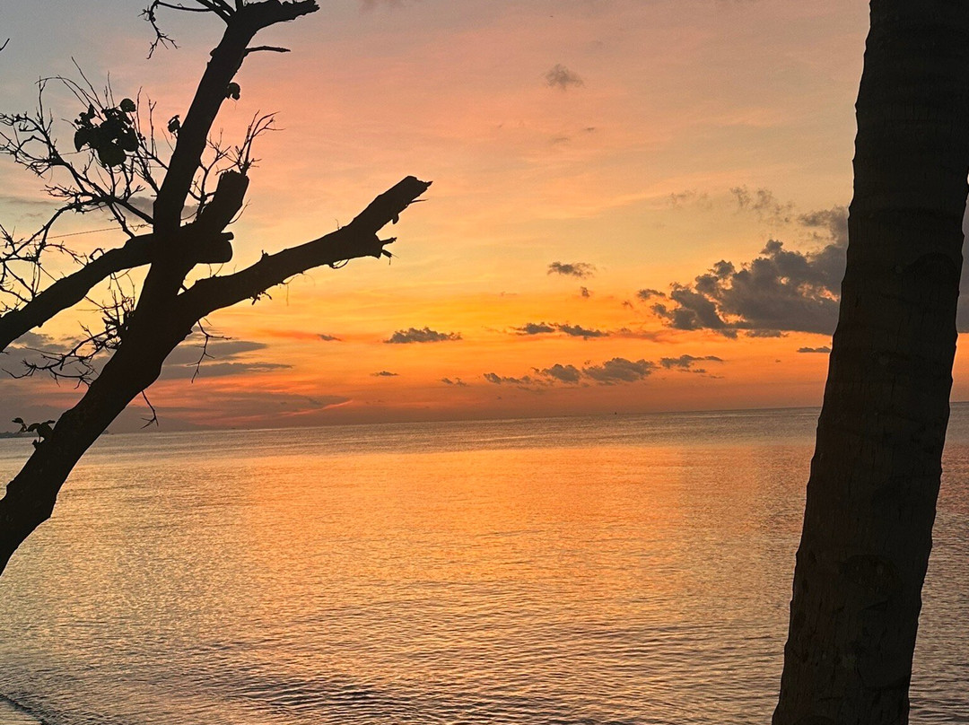 林加尼海滩生态度假酒店主图