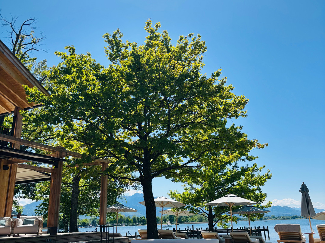 Chiemgauhof - Lakeside Retreat主图