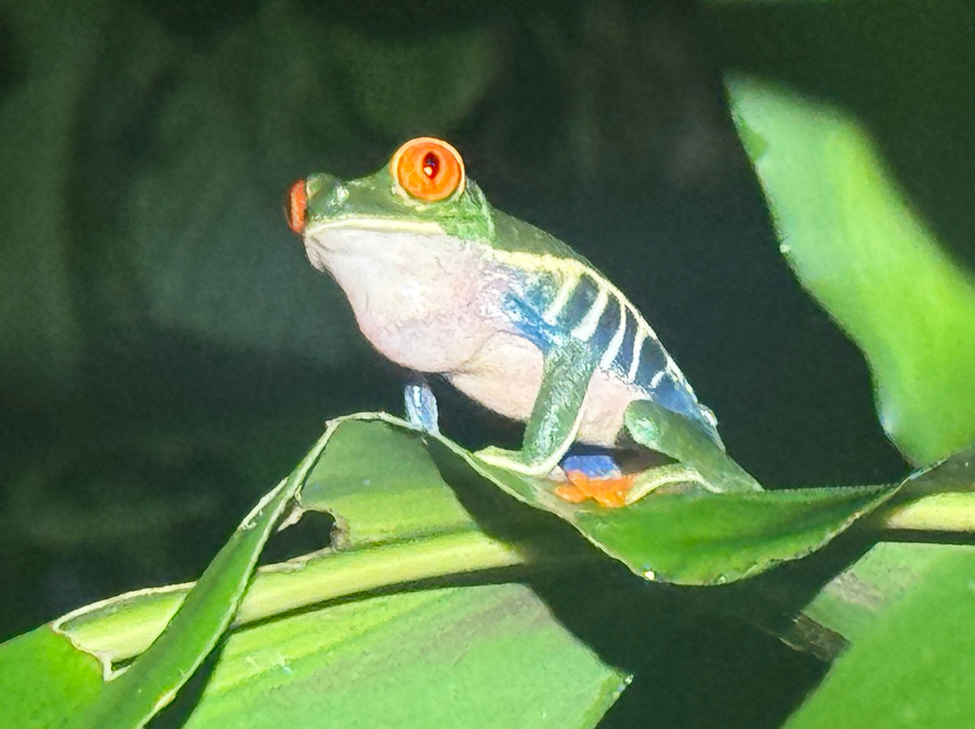 Finca Verde Lodge Tours-Bijagua de Upala必去景点