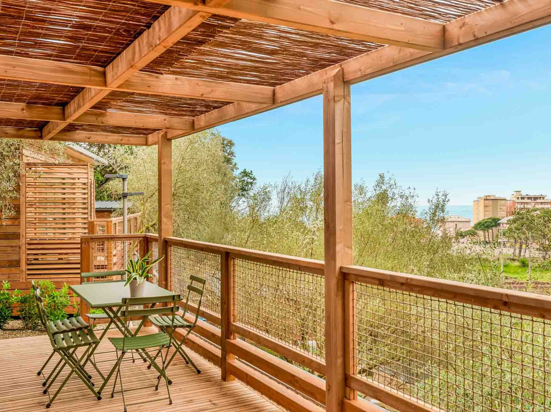 Camping degli Ulivi