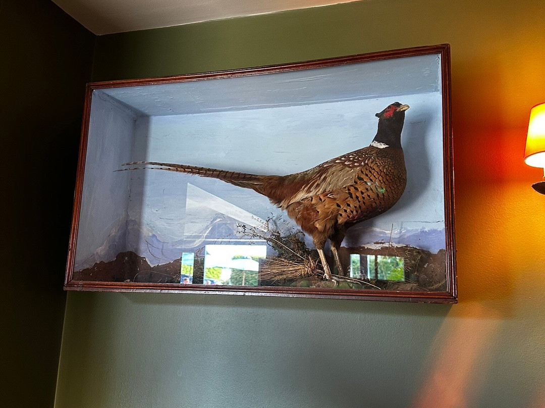 Pheasant Inn (hotel)主图
