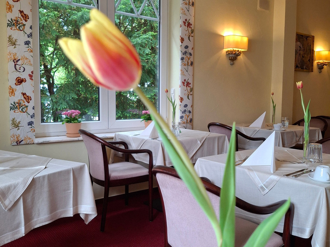 Sathya Ayurveda - Hotel Villa am Park主图