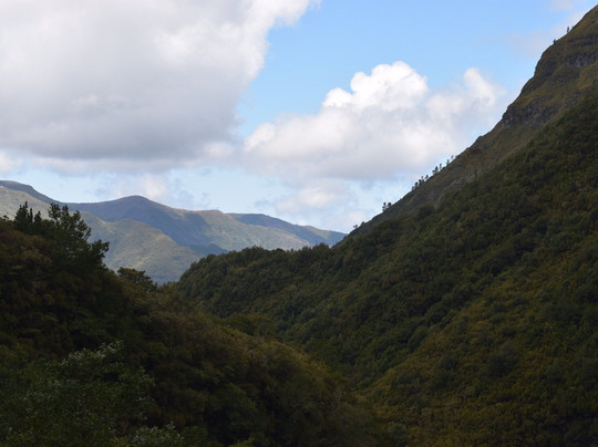 Madeira Explorers - Levada and Leisure Walks-沙尔必去景点