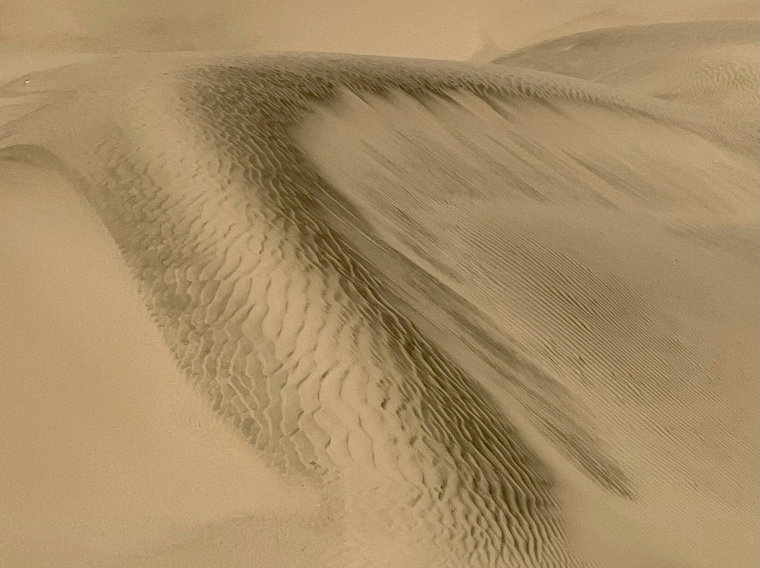 Dune 7-华维斯湾必去景点