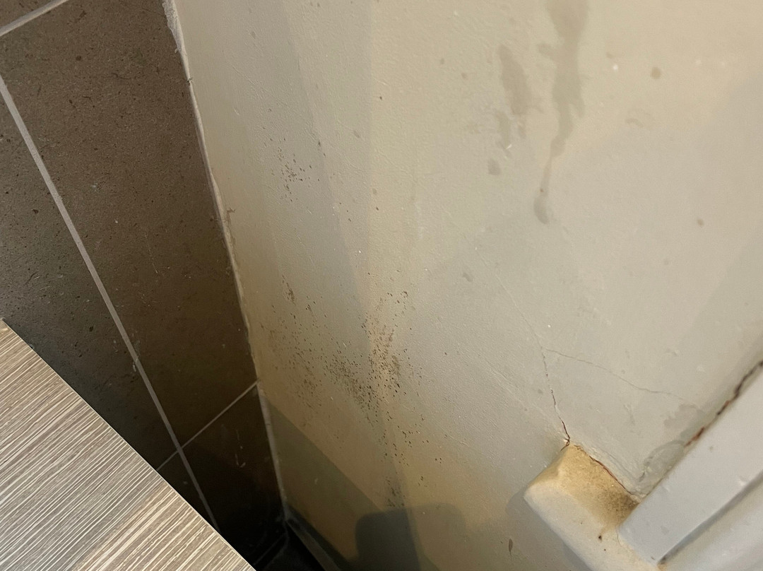邱园旅馆(邱园酒店)主图