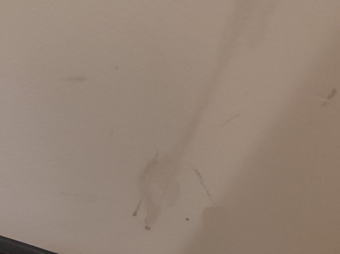 板球员纹章酒店主图