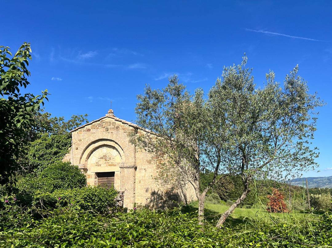 San Giovanni d'Asso酒店住宿-Agriturismo Borgo Villa a Tolli