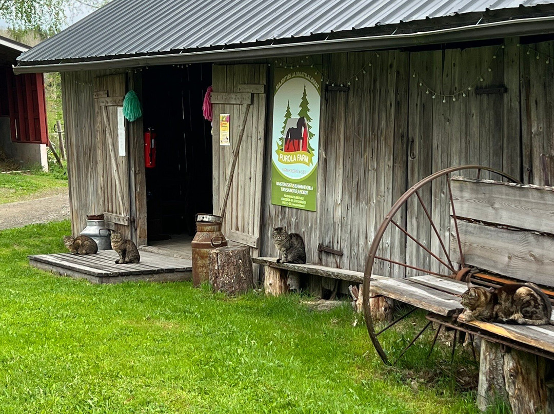 Purola Farm Guesthouse主图