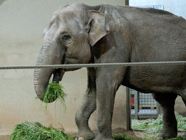 Tierpark Cottbus-Cottbus必去景点