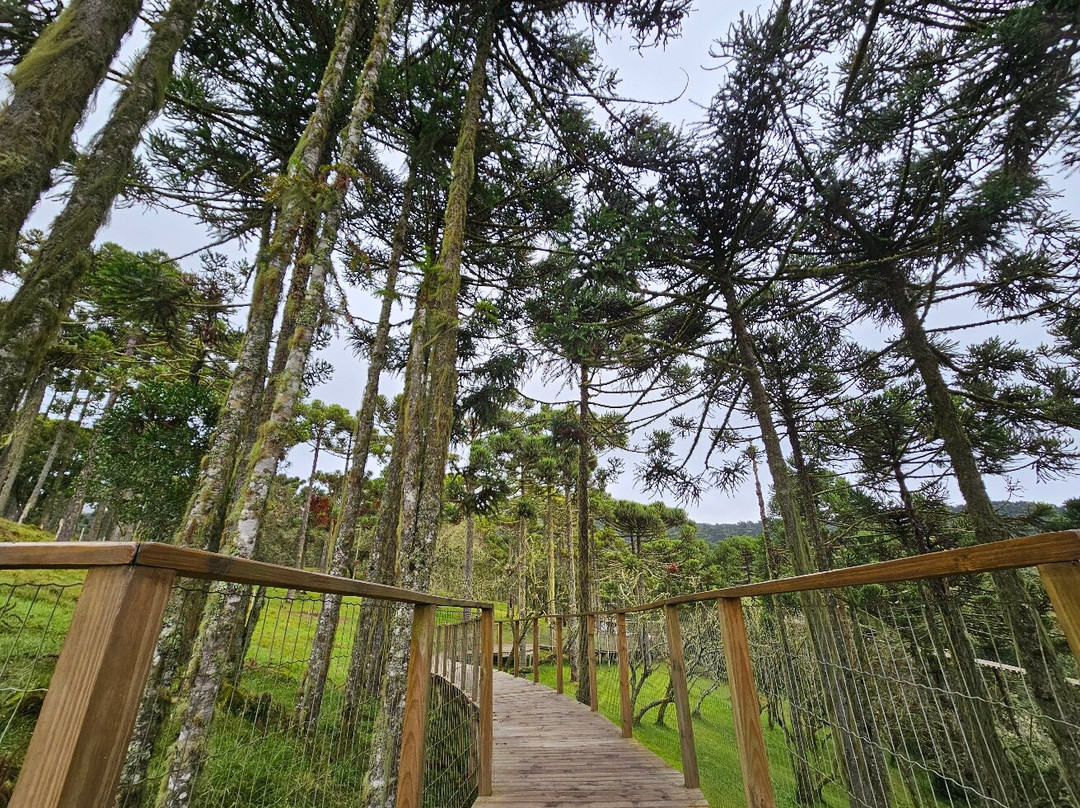 Eco Parque Cachoeira Papuã-Urubici必去景点