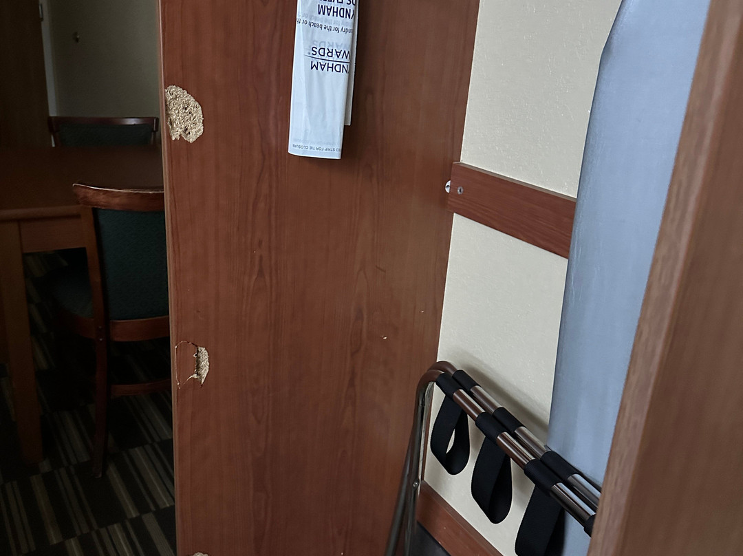 Microtel Inn & Suites by Wyndham Ocala主图