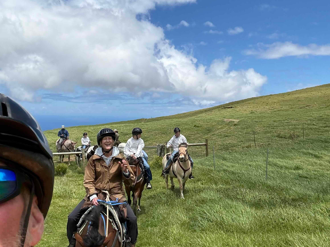 Na'alapa Stables - Kahua Ranch景点图片