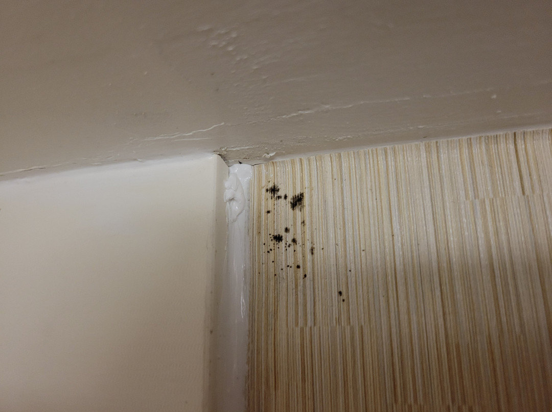 Residence Inn by Marriott Charlotte Lake Norman主图