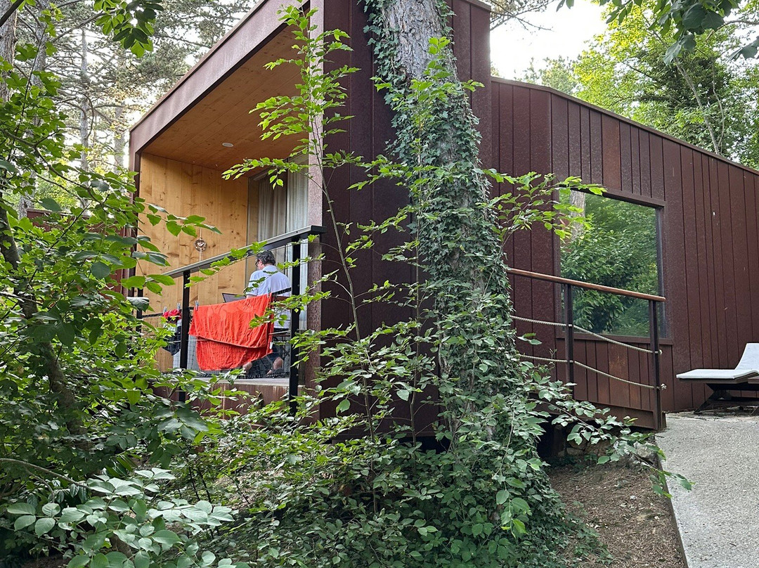 Theodosius Forest Village主图