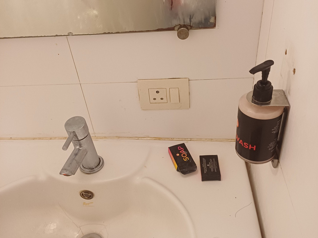 曼加尔生姜酒店主图