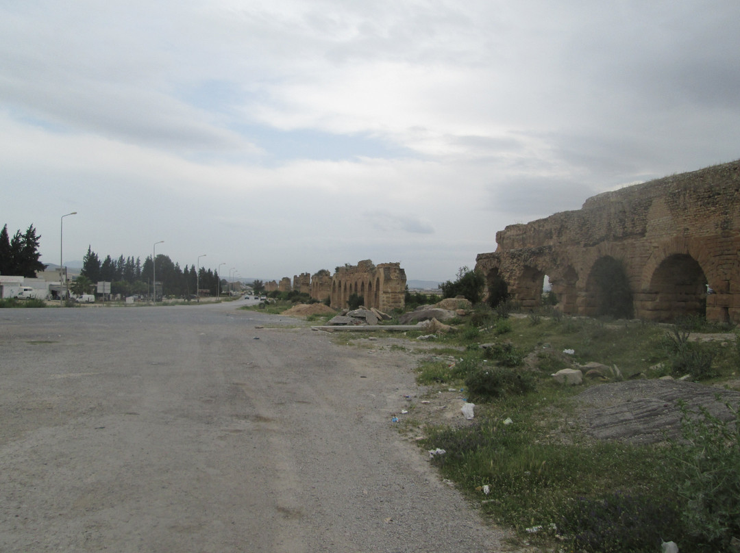Carthage  Aqueduct景点图片