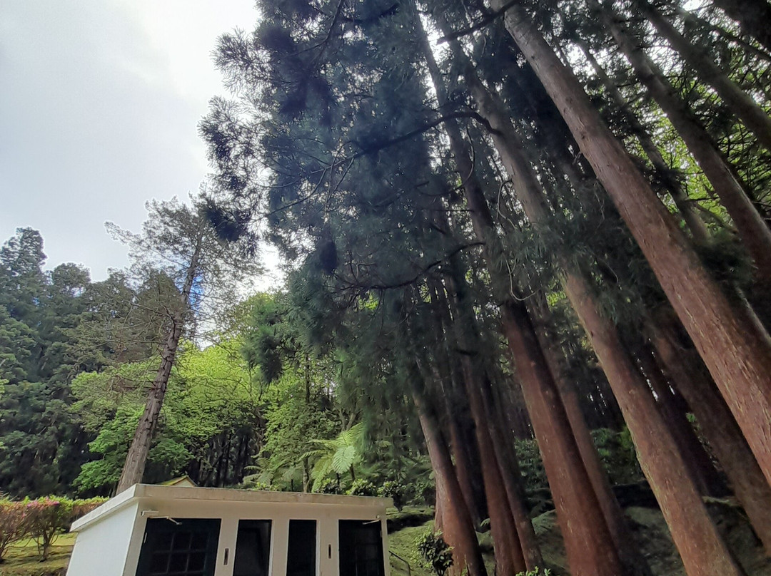 Reserva Florestal de Recreio de Fontinhas-Santa Maria必去景点