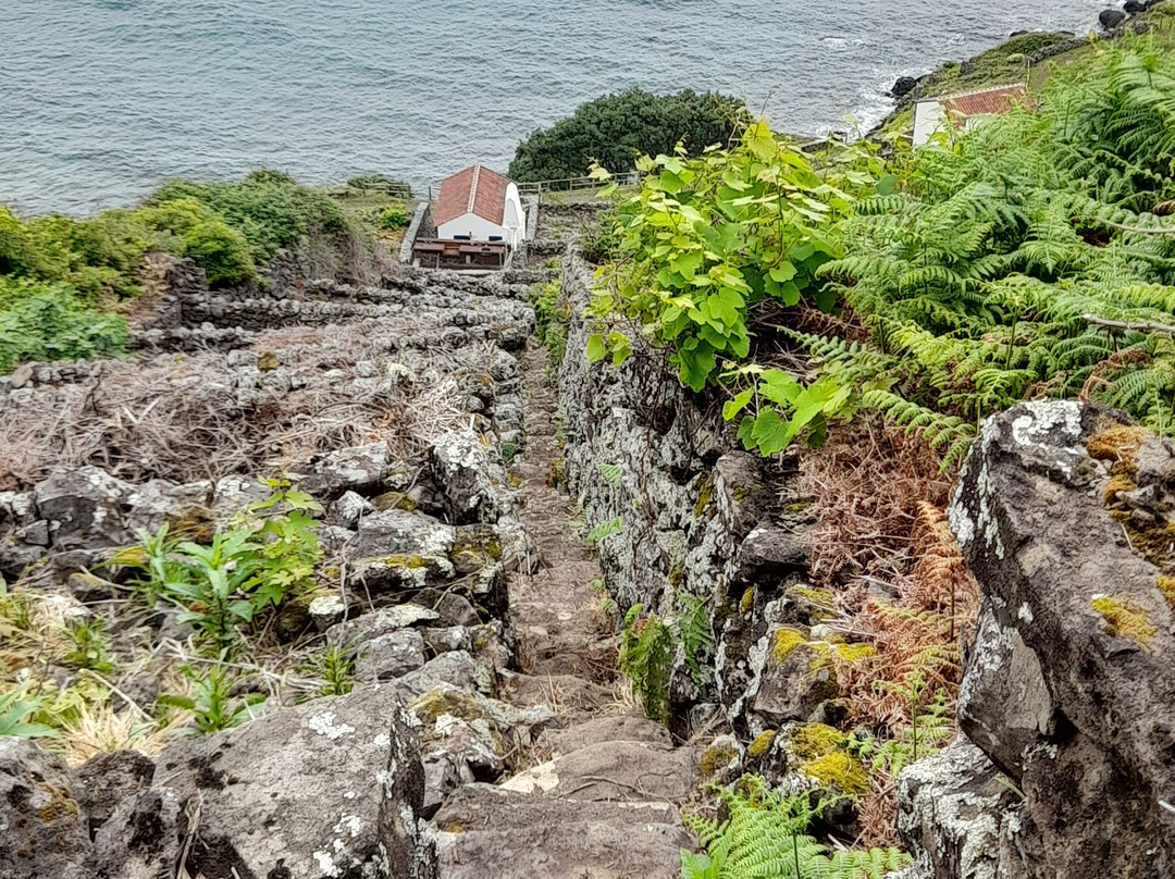Reserva Natural da Baia de Sao Lourenco-Santa Maria必去景点