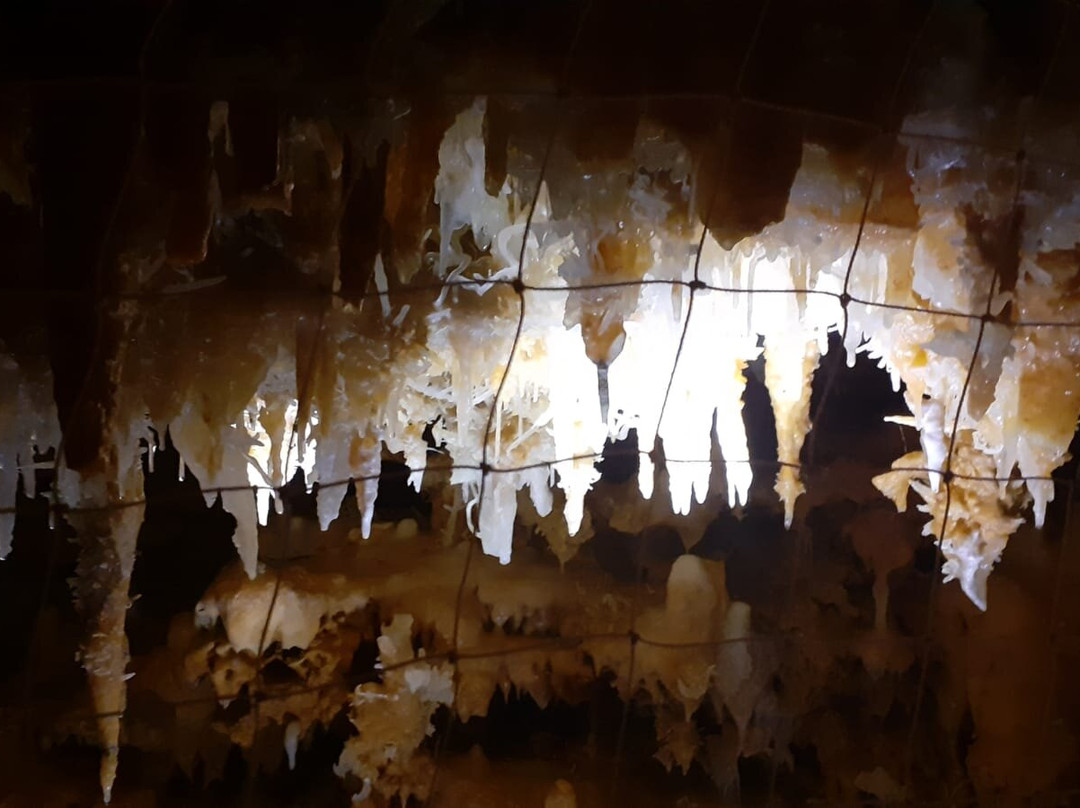 Grotte du Grand Roc景点图片