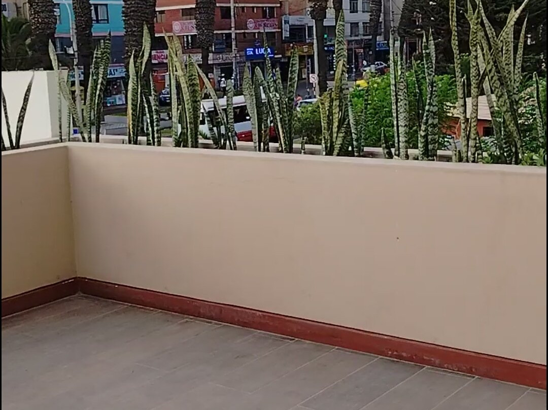 DM Hoteles Tacna主图