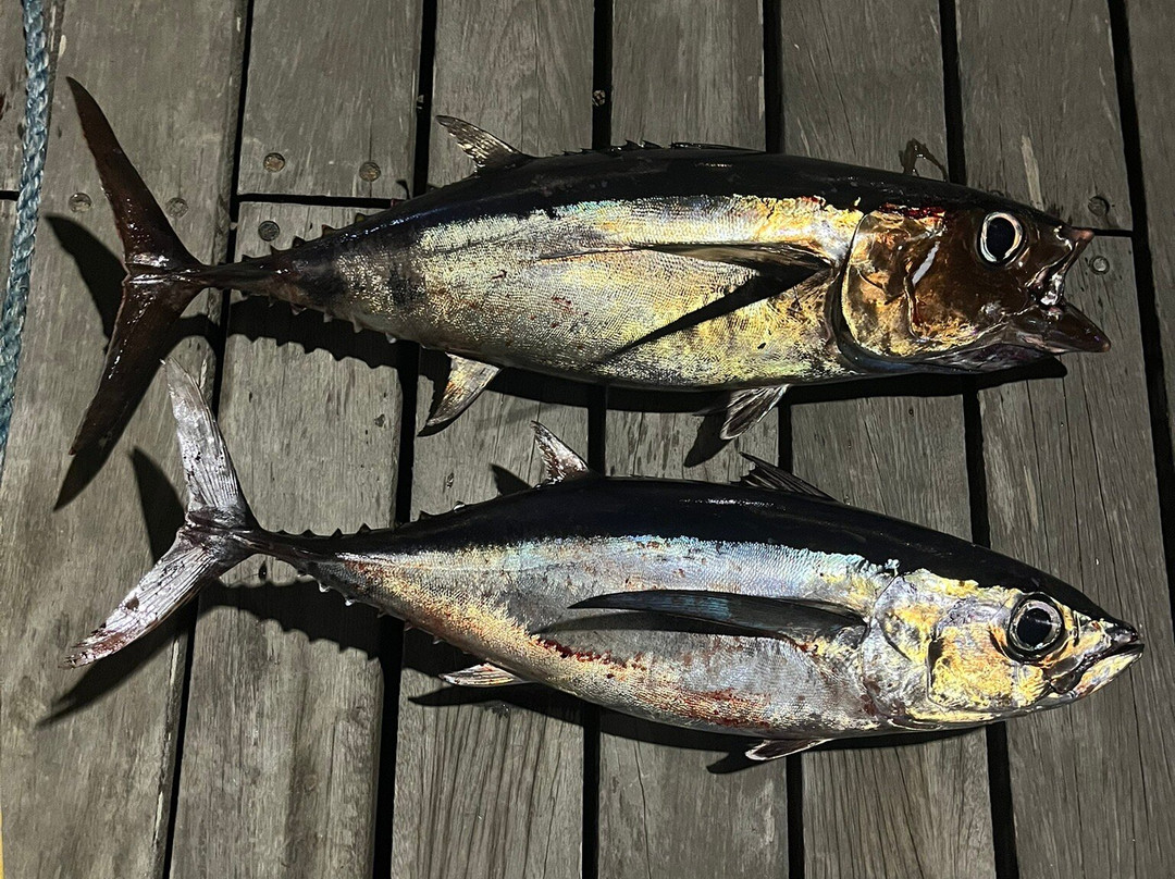 The Angler-帕福斯必去景点