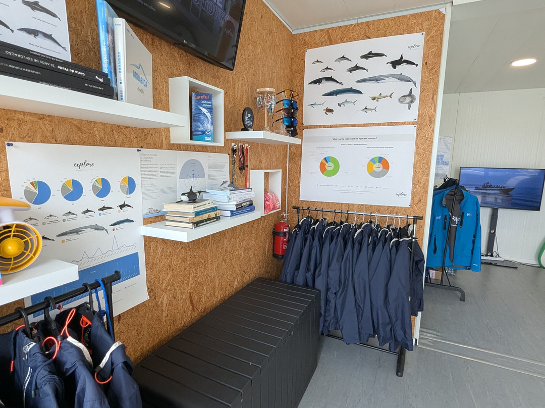 Bolhas Tours-塞新布拉必去景点